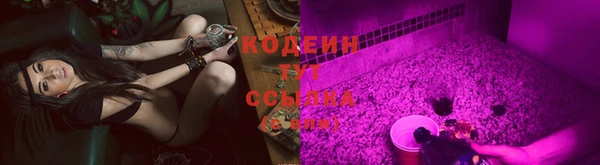 крисы Киренск