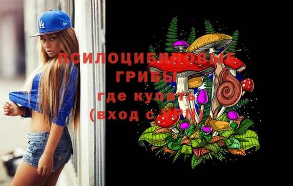 крисы Киренск