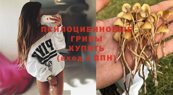 амф Кинешма