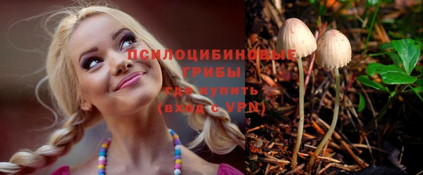 крисы Киренск