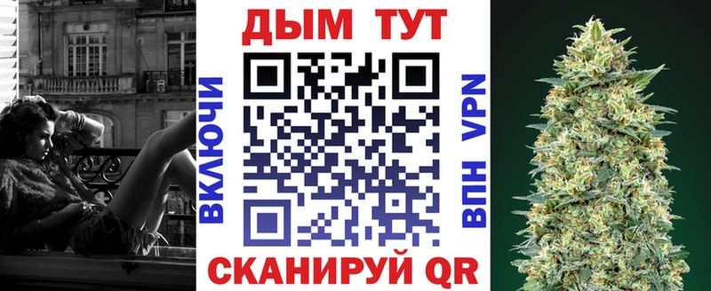 Купить закладки  Злынка  Шишки марихуана THC 21% 